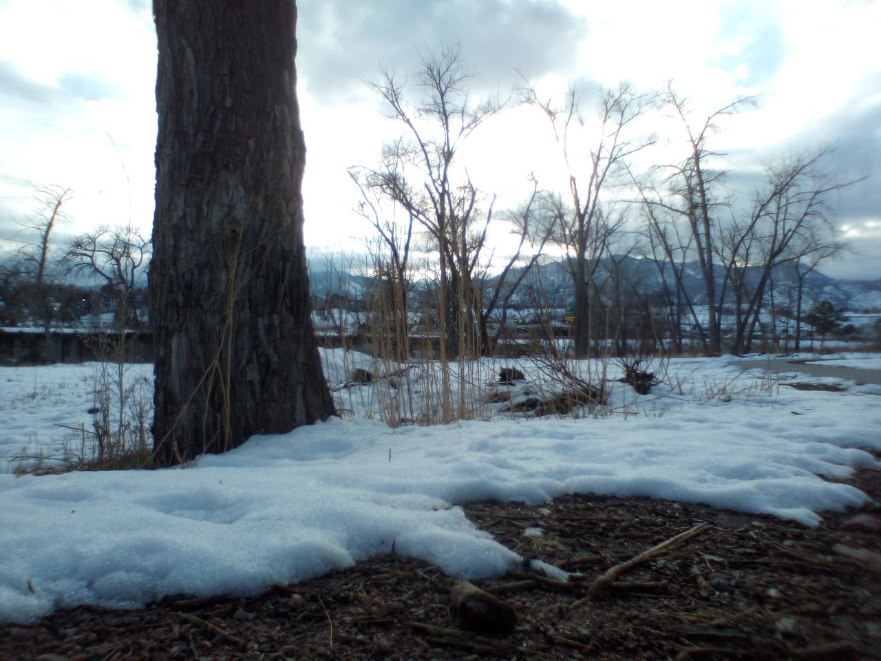 winter, tree, snow, cold temperature, sky, nature, plant, cloud, environment, tranquility, land, tree trunk, scenics - nature, no people, trunk, beauty in nature, landscape, ice, tranquil scene, frozen, bare tree, wilderness, non-urban scene, day, freezing, frost, outdoors, forest, white, water, morning, sunlight, field, natural environment, remote