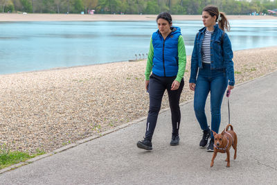 Mother and her teen girl walking with pinscher dog by the of relationship between human and animal.