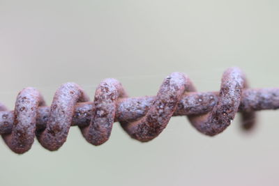Close-up of rusty metal chain against white background