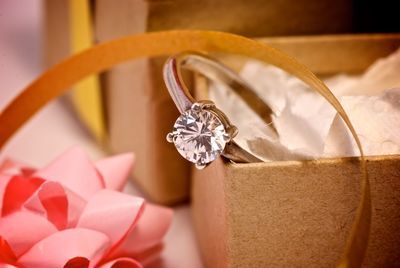 Close-up of flower against blurred background