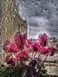 Close-up of raindrops on glass window