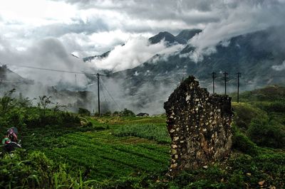 Panoramic view of agricultural field against sky