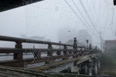 Water drops on window against sky