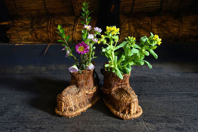 Plants growing on wicker shoes