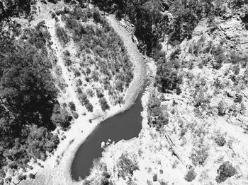 High angle view of trees by sea