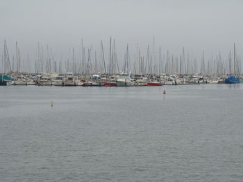 Boats in harbor
