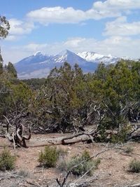 Scenic view of mountains against cloudy sky