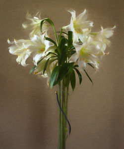 Close-up of plant against blurred background