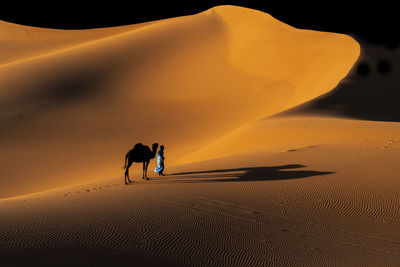 Man walking with camel on sand dune in desert