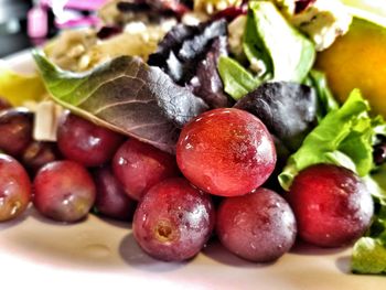 Close-up of red berries on plate