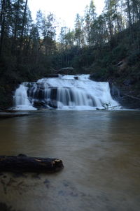 Scenic view of waterfall in forest