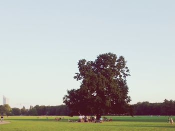 Trees on grassy field against sky