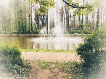 Scenic view of waterfall in forest