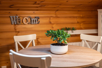 Potted plant on table