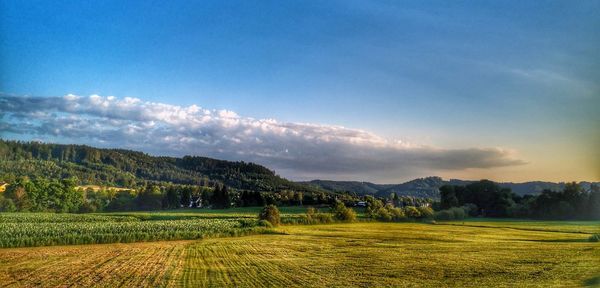Scenic view of field against sky
