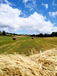 Hay bales on field against sky