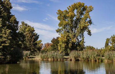 Trees by lake against sky