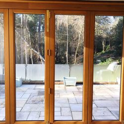 Trees seen through glass window