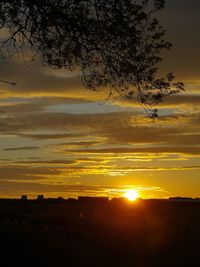 Silhouette tree against sky during sunset