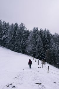 Rear view of man walking on snow covered landscape