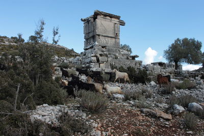 View of buildings against clear sky