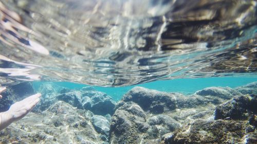 Person swimming in sea