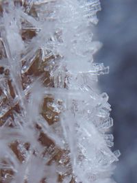 Close-up of ice