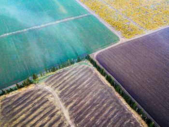 High angle view of agricultural field