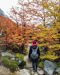 Rear view of woman walking on street during autumn