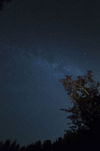 Low angle view of trees against sky at night