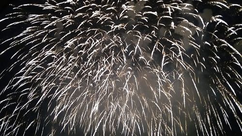 Low angle view of firework display