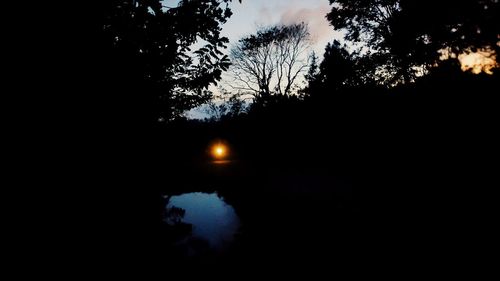 Silhouette trees against sky at night during winter