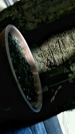 Close-up of cropped object