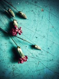 High angle view of rose on table