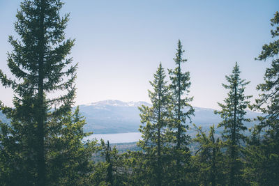 Scenic view of green landscape and mountains against sky