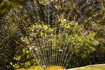 Close-up of water drops on grass