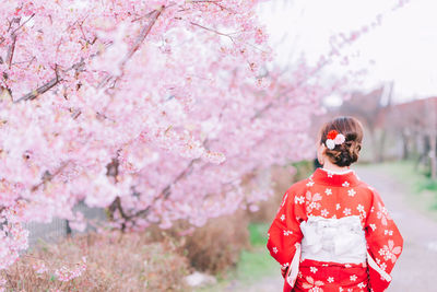 Pink cherry blossoms in spring