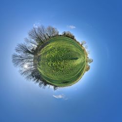 Digital composite image of tree against blue sky