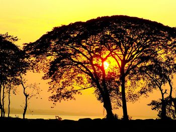 Silhouette trees against sky during sunset