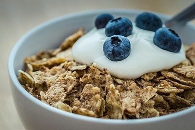 Close-up of food in bowl