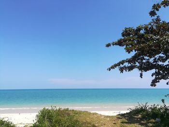 Scenic view of sea against clear blue sky