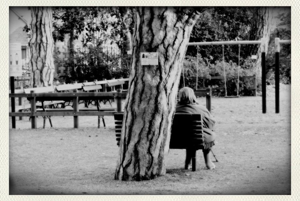 tree, rear view, full length, transfer print, walking, animal themes, standing, men, auto post production filter, lifestyles, domestic animals, person, leisure activity, horse, fence, one animal, mammal, casual clothing