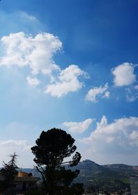 Low angle view of trees against sky