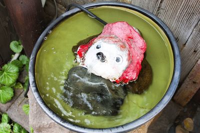 High angle view of fish in container