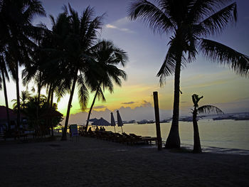 Silhouette palm trees on beach against sky during sunset