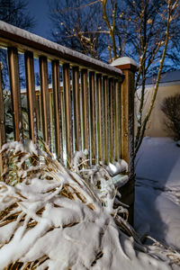 Bare trees on snow covered field
