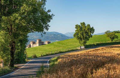 Road amidst trees on field against sky