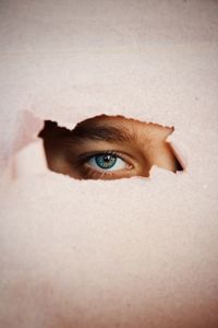 Portrait of boy peeking through torn paper