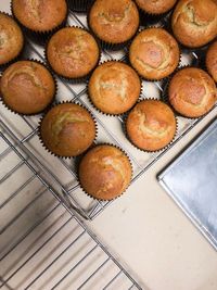 High angle view of cupcakes