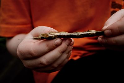 Close-up of hand holding leaf